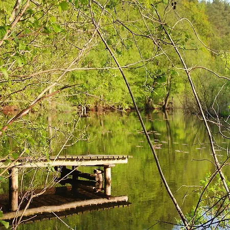 Near Baltic Sea