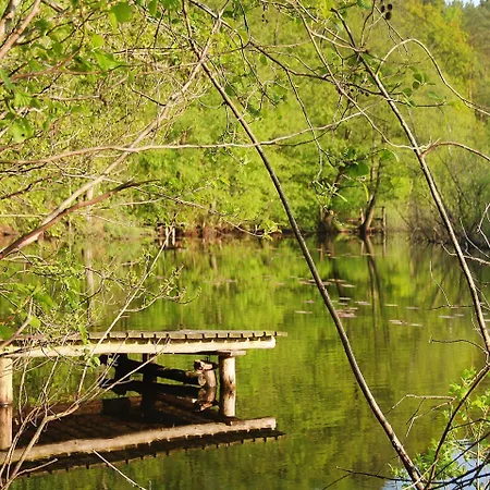 Near Baltic Sea Kołczewo